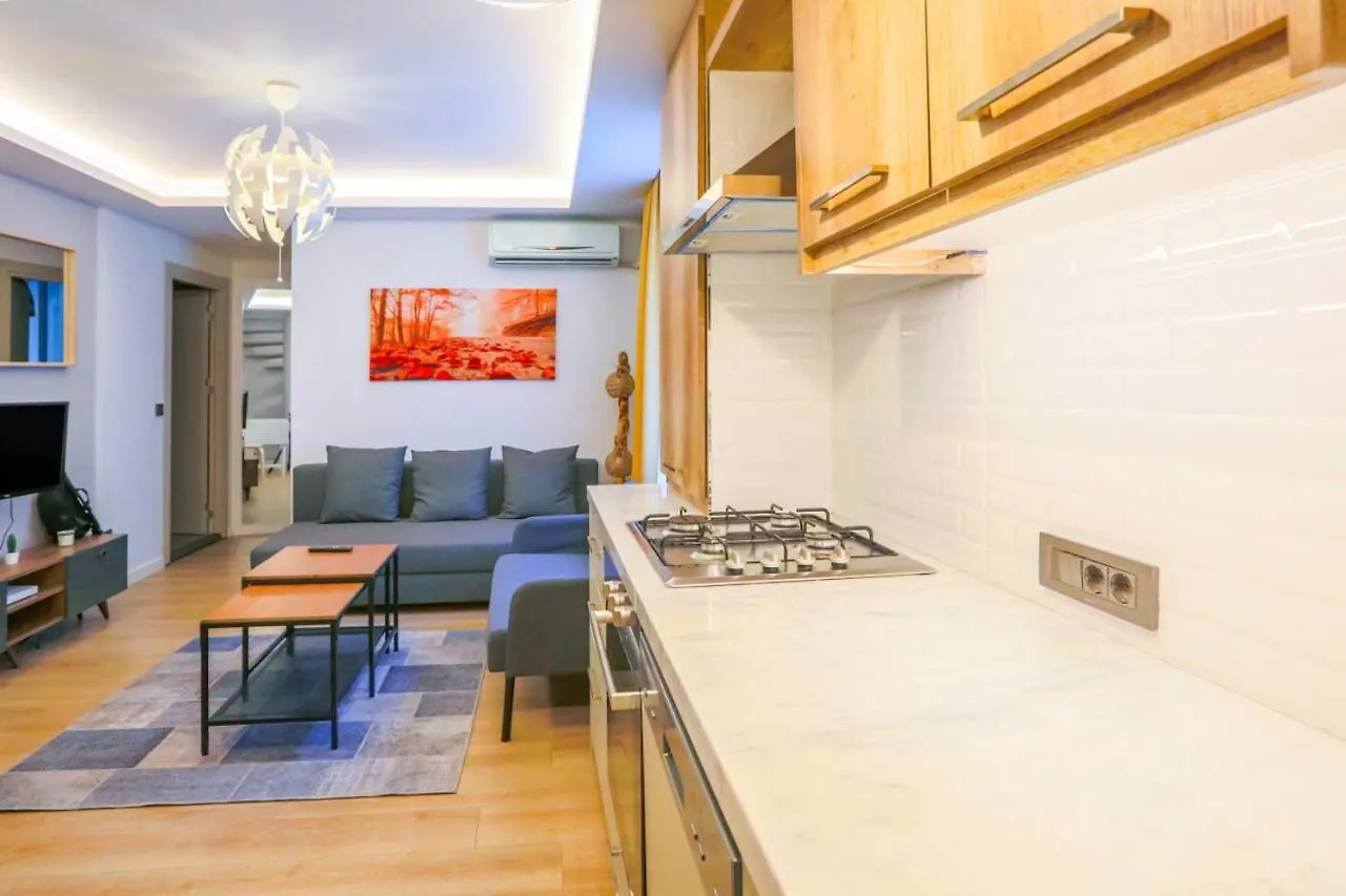 Charming Apartment Istanbul
